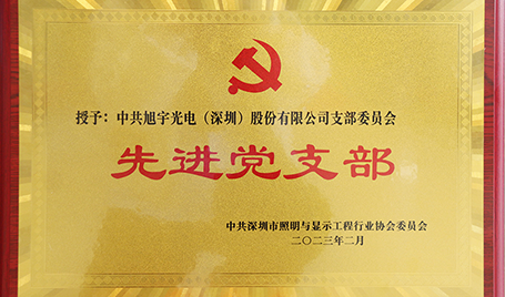 践行初心，担当使命丨kaiyun入口光电获评“先进党支部”