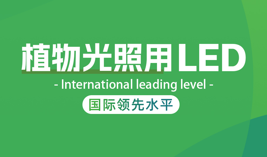 kaiyun入口光电植物照明LED：高光量子效率驱动农业现代化与节能